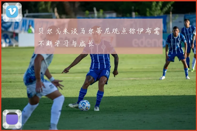 贝尔戈米谈马尔蒂尼观点称伊布需不断学习与成长